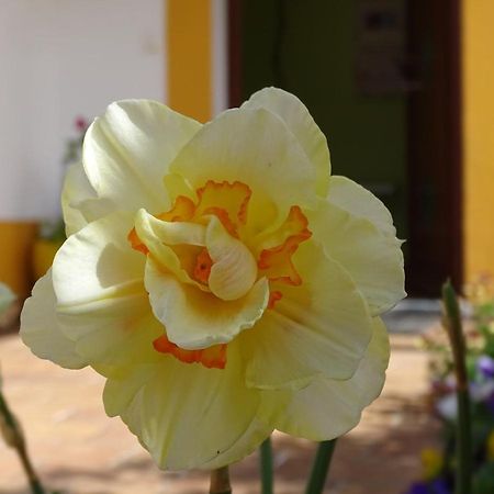 Mira Vila By Stay In Alentejo For Hikers Vila Nova de Milfontes Buitenkant foto
